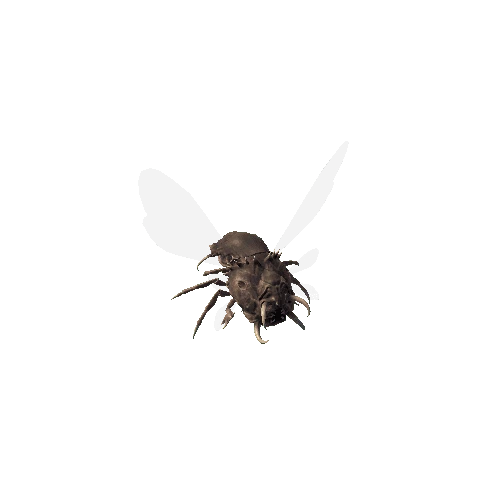 Flying Bug Skin1